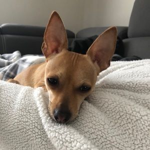 Meet your Posher, Chantal